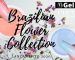 NOVO GEL T3 FIBERGEL BRAZILIAN FLOWER COLLECTION